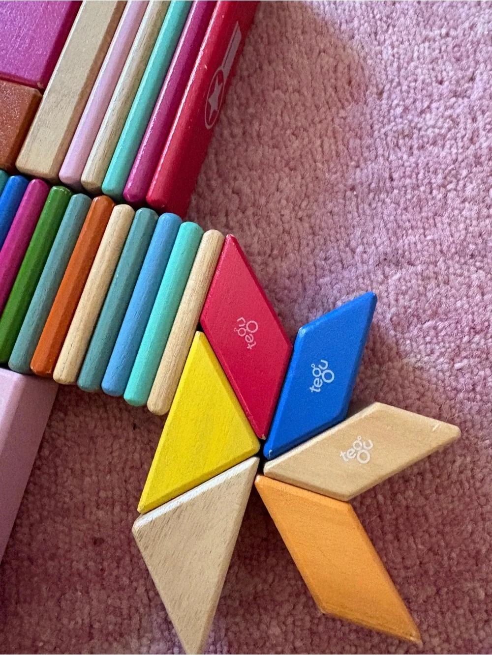 31 Piece Tegu wooden magnetic blocks